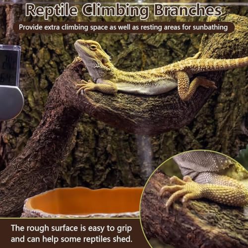 2PCS Natural Reptile Climbing Branches Decor (2PCS|S:0.75-1.25"D,13"L)