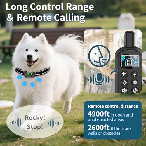 Dog Shock Collar (008 Black)