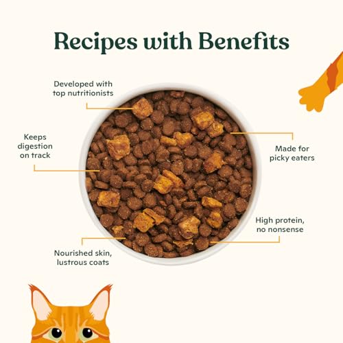 Dry Cat Kibble 2lb Bag (2 Pound (Pack of 1))