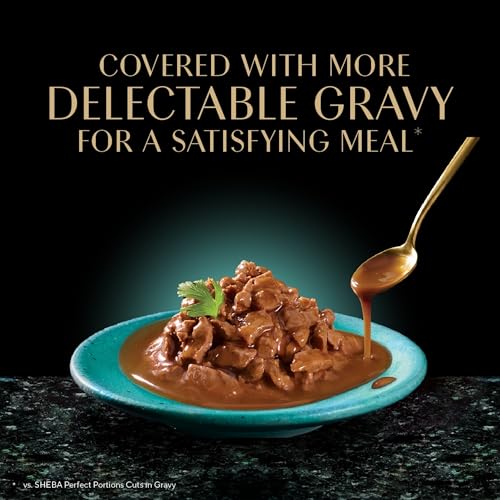 Gravy Indulgence Wet Cat Food (24 Count (Pack of 1))