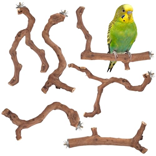 6 Piece Premium Bird Perch Stand with Natural Grape Wood Branch (Grape / 6Piece)