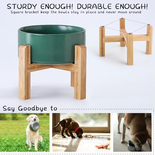 Green Elevated (Green / 1.7 Cups - Small)