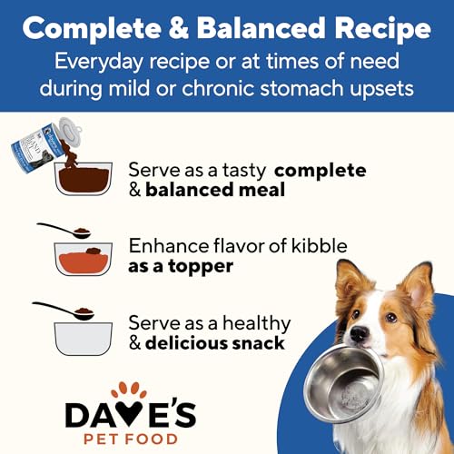 Bland Diet Dog Food (13.2 Ounce (Pack of 12))