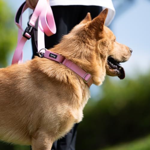 Martingale Dog Collar (Small / Bonbon Pink)