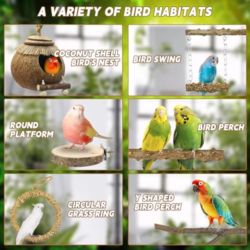 7PCS Bird Perches