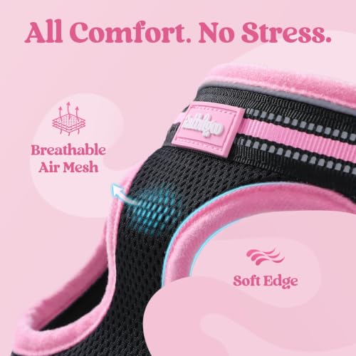 Cat Harness and Leash Set (L / Black & Pink)
