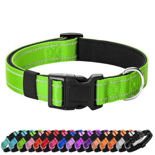 Reflective Dog Collar (Green / XS:width 5/8"neck 8-10.5")