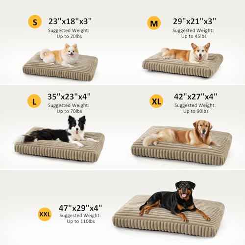 Dog Bed Medium Size Dog (Beige / M(29"x21"x3"))