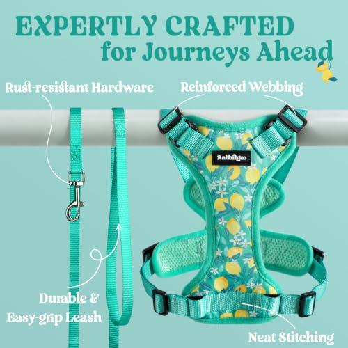 Cat Harness and Leash Set (M / Lemon Grove)