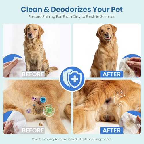 Pet Wipes for Dogs & Cats (1 Box-100 Count)