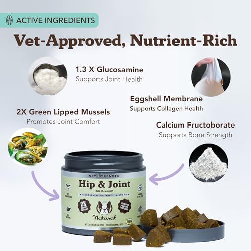 Vet Strength Hip & Joint Chews for Senior Dogs (90 Count / Vet Strength Hip and Joint)
