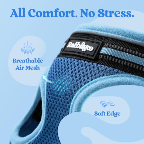Cat Harness and Leash Set (S / Blue & Light Blue)