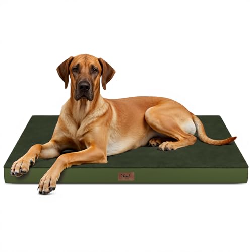 Jumbo Waterproof Orthopedic Dog Bed for Extra Large Dogs (Olive Green / 53.0"L x 36.0"W x 4.0"Th)