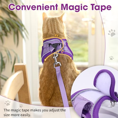Cat Vest Harness and Leash Set (Purple / M)