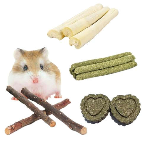 Rabbit Chew Toys Cleans The Mouth (3+2Types)