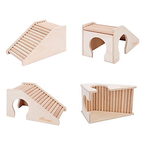 Hamster House w