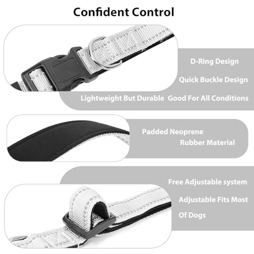 Reflective Dog Collar (Silver / M:width 3/4"neck 14-20.5")