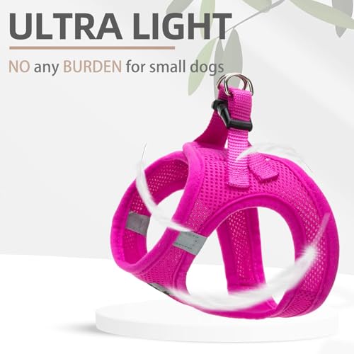 Dog Harness Collar and Leash Set No Pull for Small Medium Sized (Solid DeepPink / XXS (CHEST 11.5"-13"))