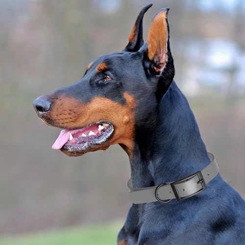 Biothane Waterproof Dog Collar Strong Coated Nylon Webbing with Black Hardware Odor (W3/4" x L15-18" / Battleship Gray)