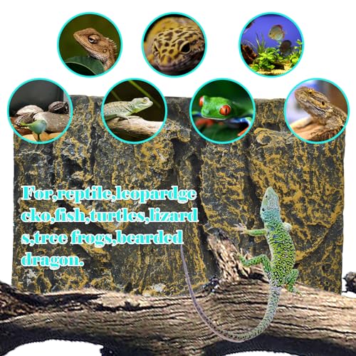 Rock Terrarium Background (【ROCK】)