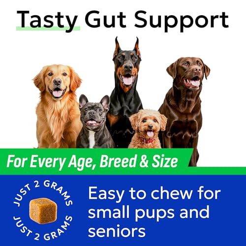 Probiotics for Dogs (Probiotic Chews / 60Ct Chicken)