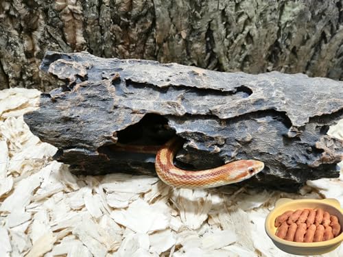 Large Reptile Hide Cave (brown / Large)