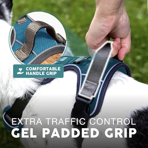 Embark No Pull Dog Harness (M / Blue)