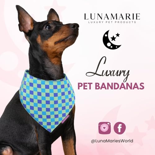 Luxury Pet Birthday Bandanas (Electric Rebel / X-Small)
