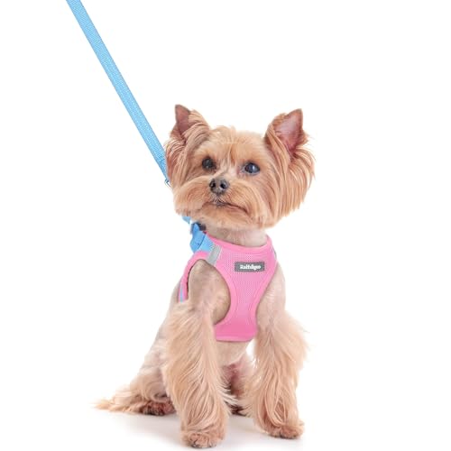 Dog Harness Small Sized and Leash Set (Blue & Light Pink / Xxs (chest: 12.4 - 14.2"))