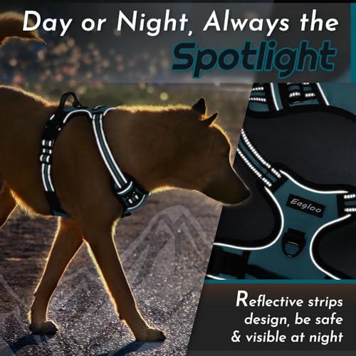 Dog Harness for Medium Sized Dogs (Medium / Dark Green)