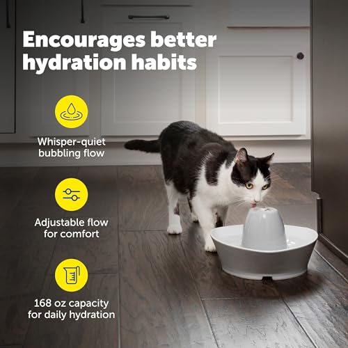 Creekside Ceramic Pet Fountain (Fountain + 12 Carbon Filters + 2 Foam Filters)