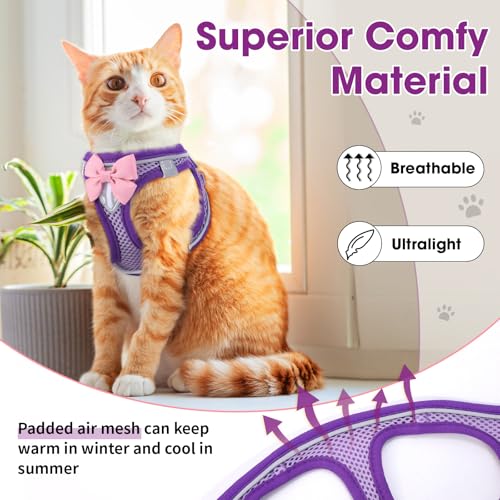 Cat Vest Harness and Leash Set (Purple / M)