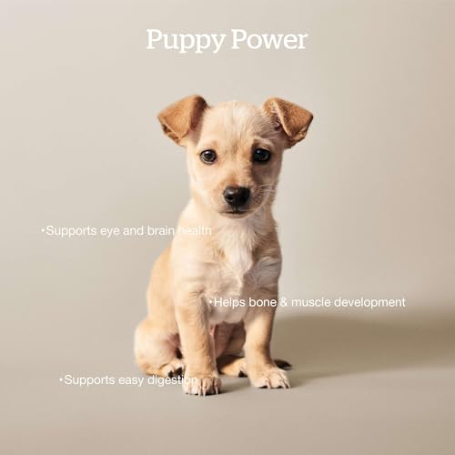 Grain Free Small Breed Dry Puppy Food with Turkey (3.5 Pound (Pack of 1))