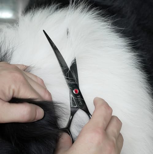 Dog Grooming Scissors Kit