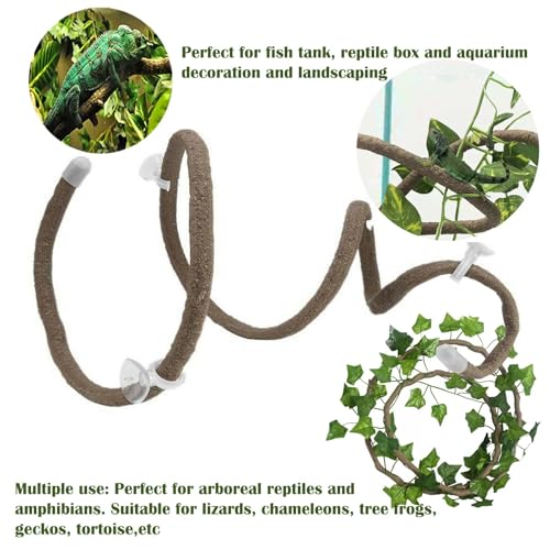 10PCS Crested Gecko Tank Accessories (one)