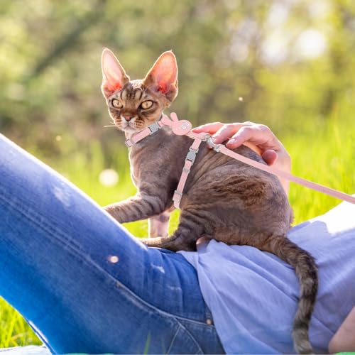 Cat Harness and Leash Set (Rabbit)