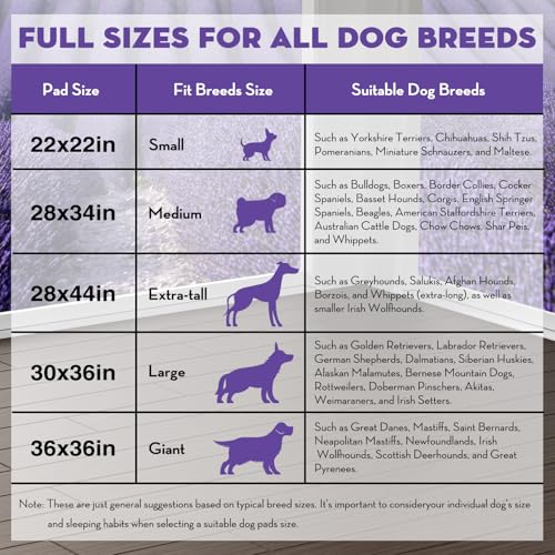 Puppy Pads with Adhesive Tabs Leak Proof Lavender Scent 22x22in 50Ct (Regular-22x22in(50Ct))