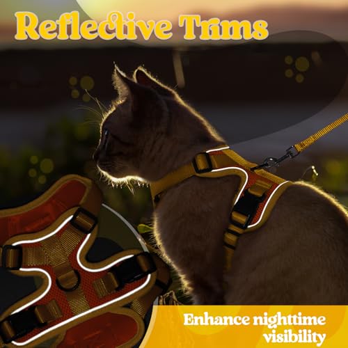 Cat Harness and Leash Set