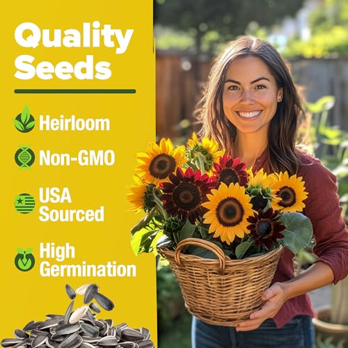 Sunflower Mix Seeds