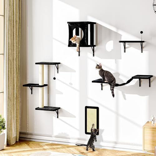 Cat Wall Shelves Set (Black)