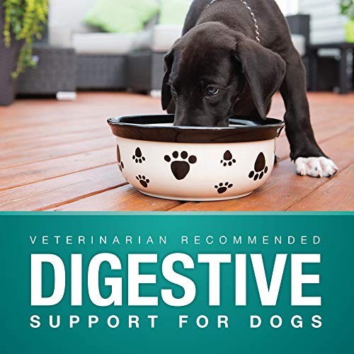 Digestive Supplement for Dogs (Standard Strength 90 ct Dog)