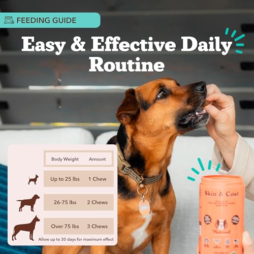 Skin & Coat Supplement for Dogs (180 Count)