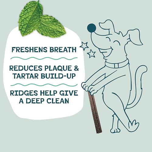 Carrot & Mint Dental Chews for Dogs (1.75 Pound (Pack of 1))