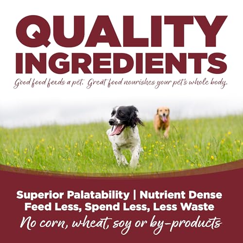 Adult Dry Dog Food (4 Pound (Pack of 1))