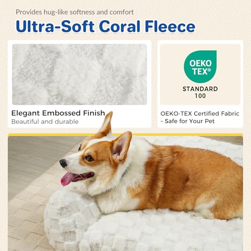 Cat Bed Cats Couch for Puppy and Kitten (White / 26x20x10")