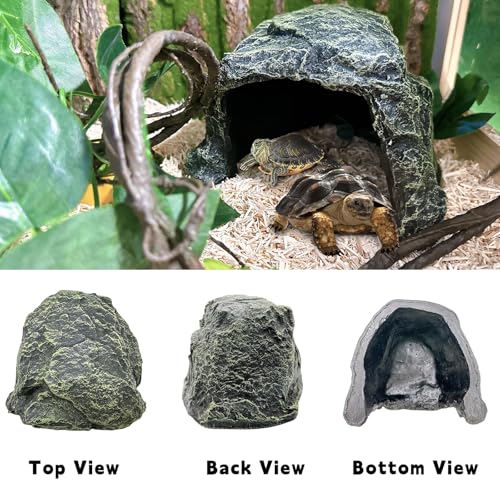 Reptile Hideout