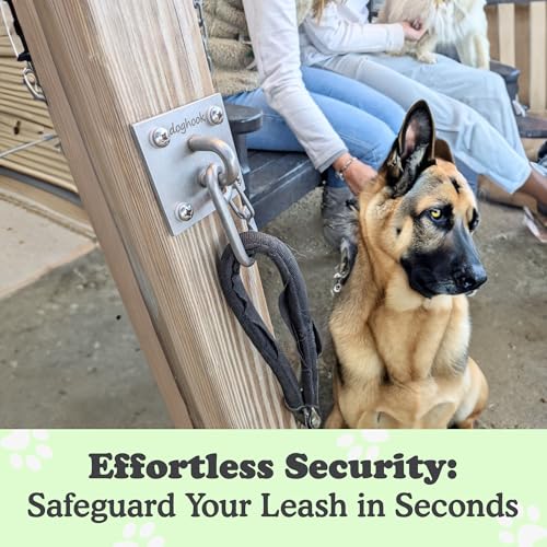 Canine Hitch Secure Dog Leash Parking Wall Large Hook with Clip 6 Pack (Large with Clip (6 pack))