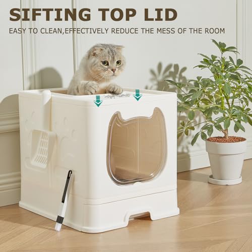Cat Litter Box with Lid (White)