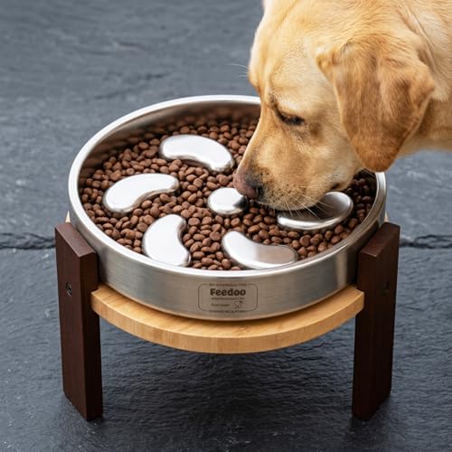 Elevated Dog Bowl Stand (8" Height 4-Cup Slow Feeder)