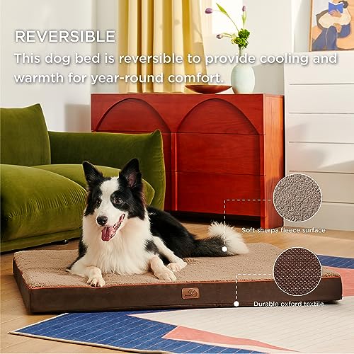 XL Dog Bed Extra Large Pet Bed with Comfy Sherpa (44"L x 32"W x 3"Th / Brown)